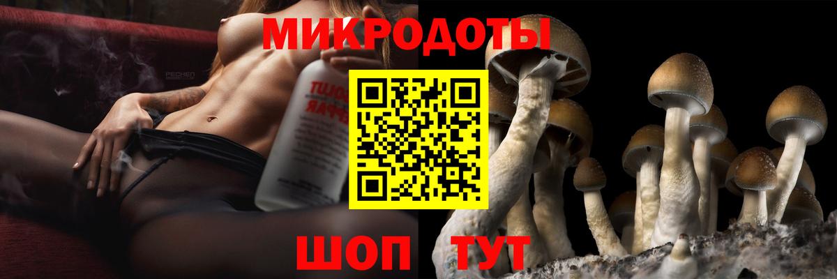 Галлюциногенные грибы прущие грибы  Вход с VPN  Рассказово 